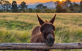 Fernhill Guest Farm